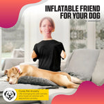 Pet Accessory Playful Everyday Design