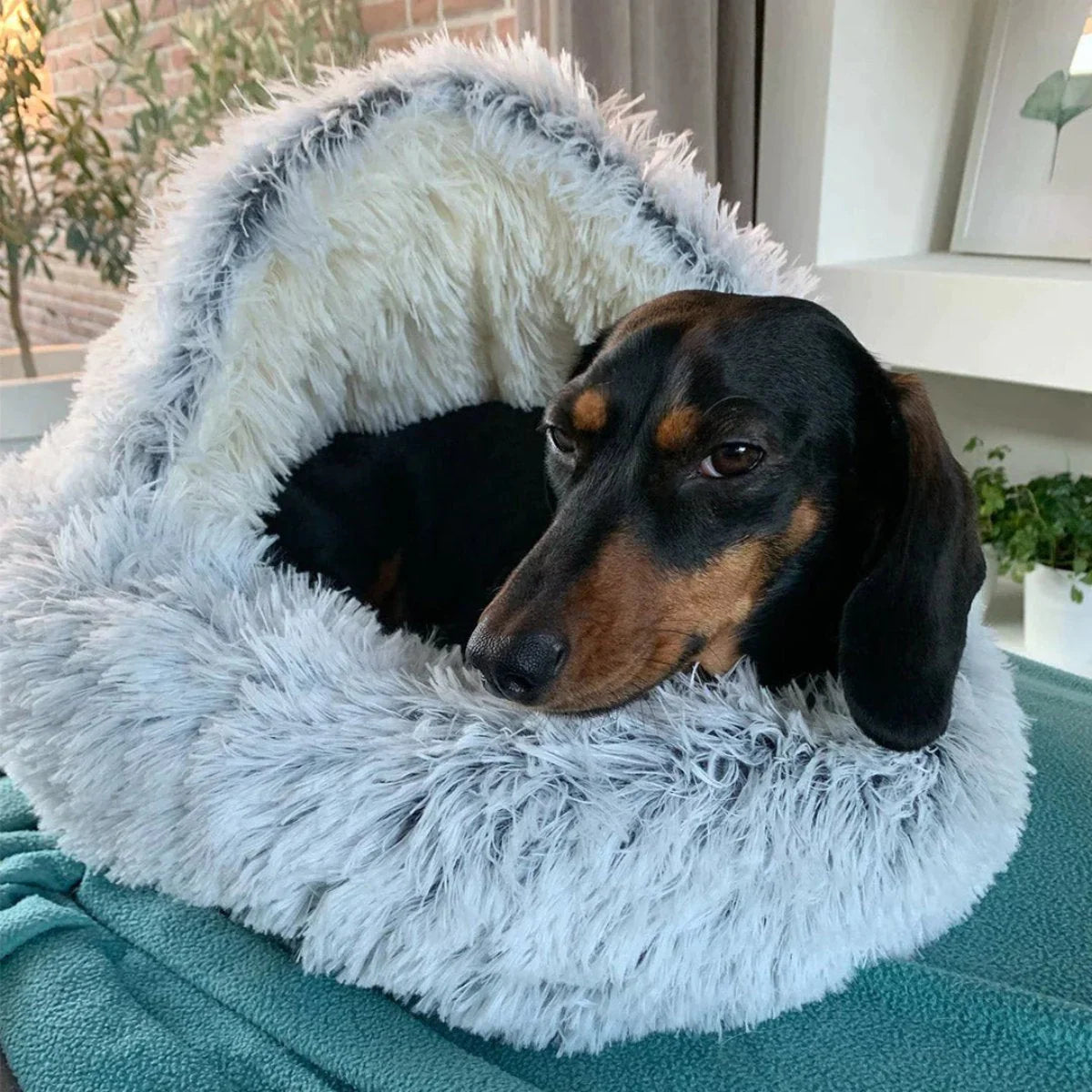 Pet Bed Hooded Cave Joint-Supportive Removable Washable Cover