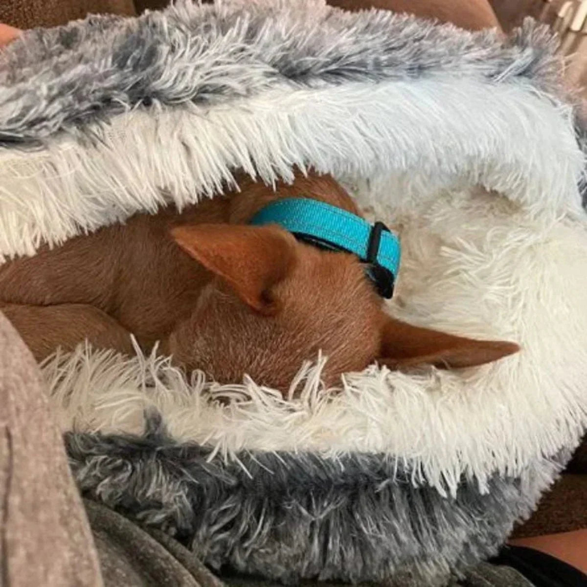 Pet Bed Hooded Cave Joint-Supportive Removable Washable Cover