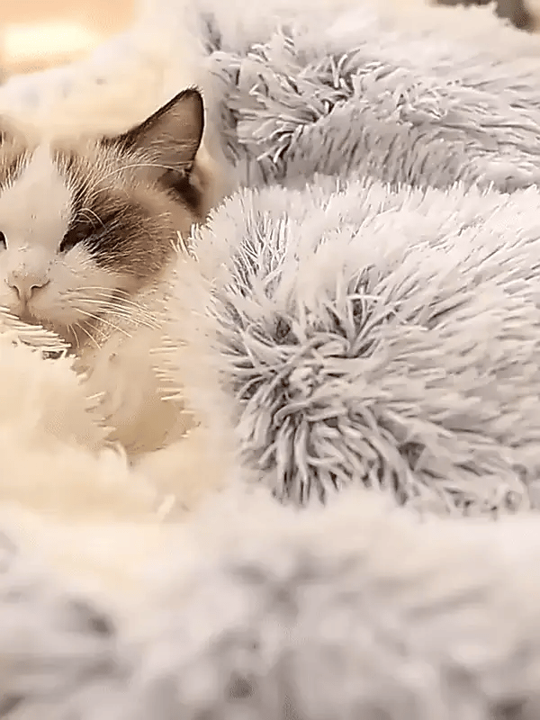 Pet Cave Bed Plush Hooded Machine Washable Cover