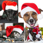 Pet Christmas Hat Plush-Lined Adjustable Washable