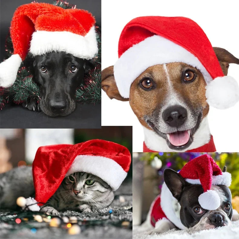Pet Christmas Hat Red & White One Size