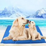 Pet Cooling Mat Pressure-Activated Gel Core