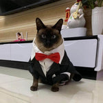 Pet Costume Black Formal Jumpsuit with Collar & Red Tie
