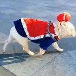 Pet Costume Cape & Hat Set Adjustable Strap