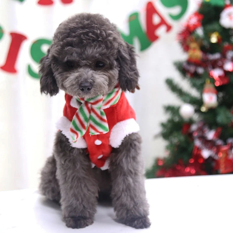 Pet Costume Fleece Holiday Styles XS-M