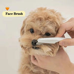 Pet Facial Grooming Brush Stainless Steel Pins Gentle Cleaning