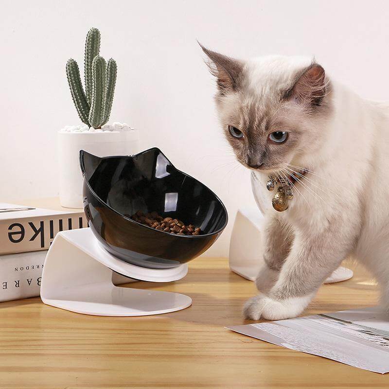 Pet Feeder Bowl Double Bowl Non-Slip Base