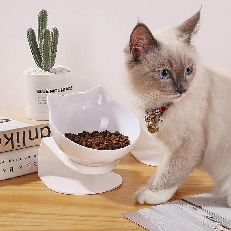 Pet Feeder Bowl Double Bowl Non-Slip Base