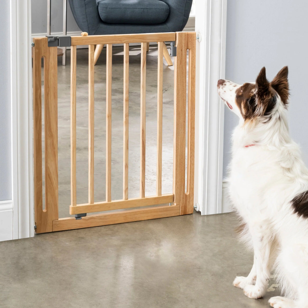 Pet Gate Solid Hardwood Swing Door Pressure-Mounted 28–38 Inch Wide