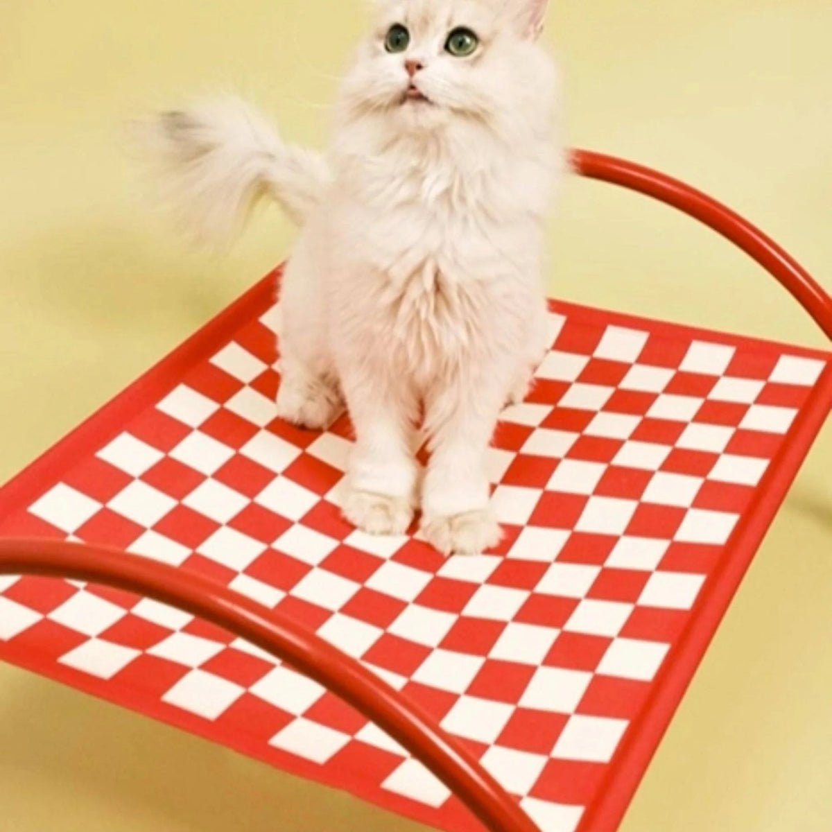 Pet Hammock 2-in-1 Sofa & Travel Removable Washable Cover