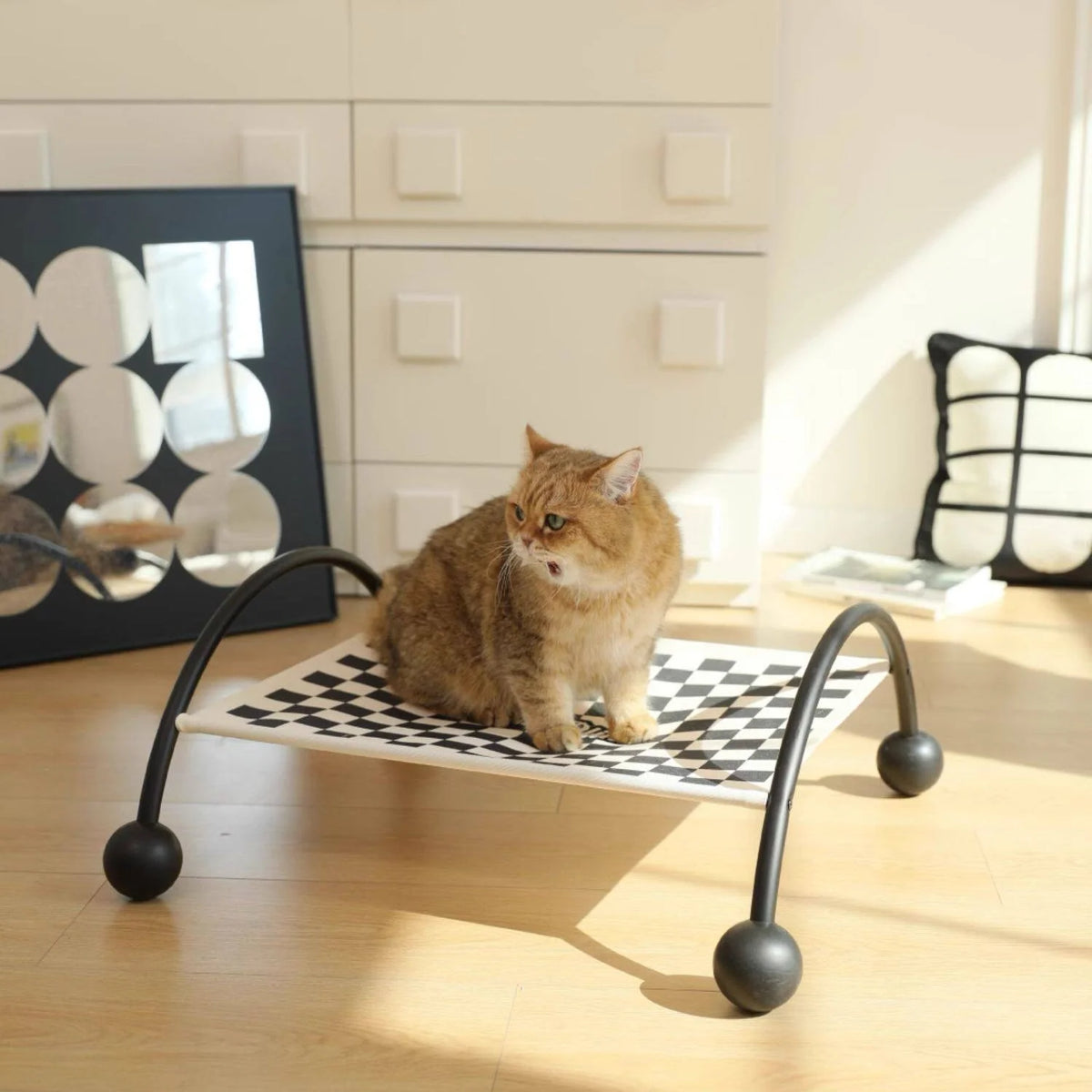 Pet Hammock 2-in-1 Sofa & Travel Removable Washable Cover