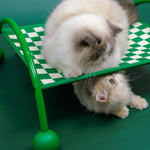 Pet Hammock 2-in-1 Sofa & Travel Removable Washable Cover
