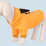 Pet Hoodie Cotton Pumpkin Design Warmth For Cool Weather