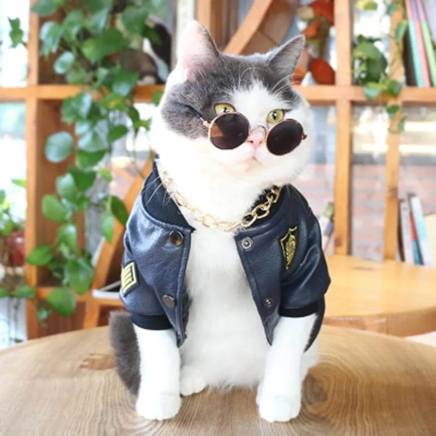 Pet Jacket Leather Black Multiple Sizes