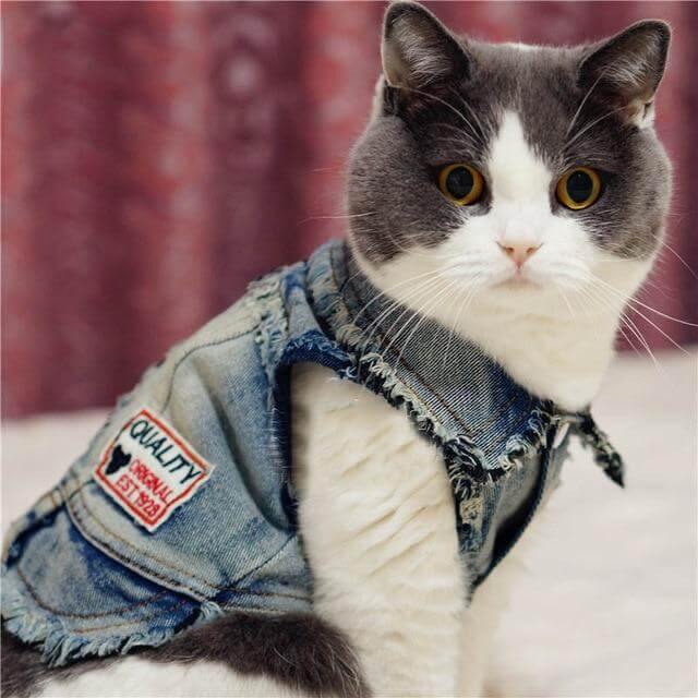 Pet Jacket Washed Denim Machine-Washable & Durable