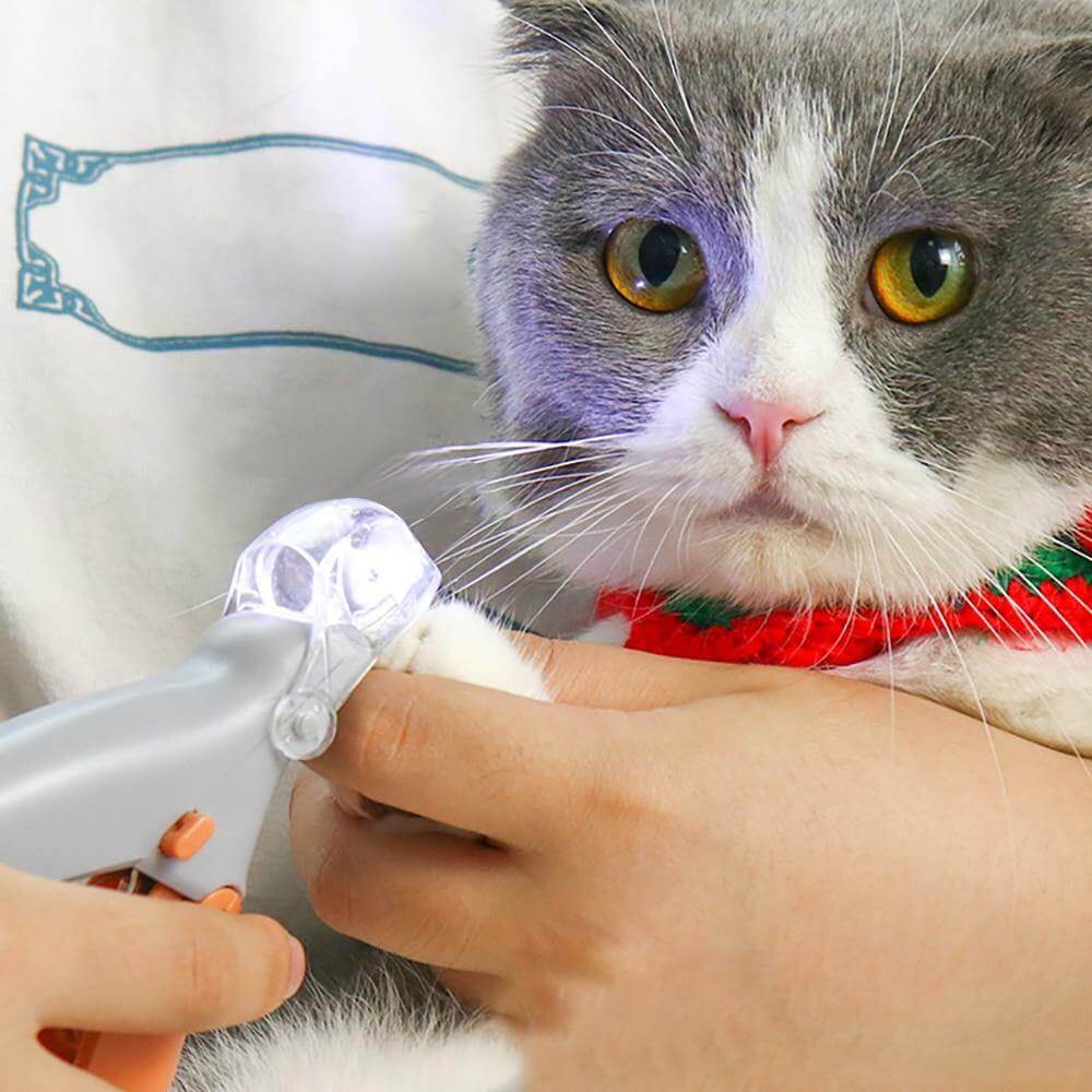 Pet Nail Trimmer LED Light Stainless Steel Comfort Grip