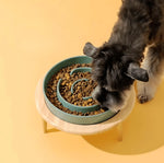 Pet Slow Feeder Bowl Ceramic Maze Dishwasher-Safe