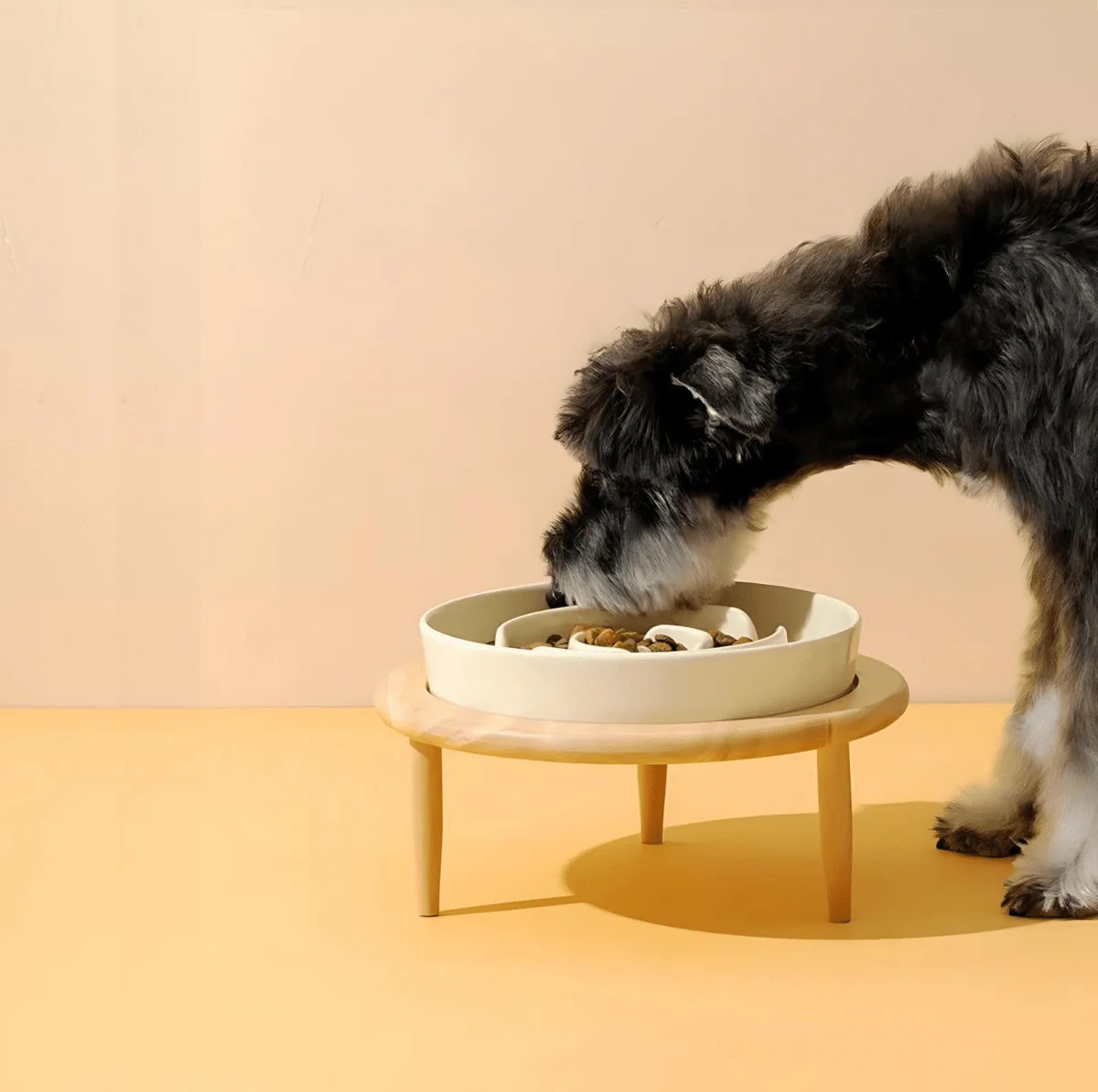Pet Slow Feeder Bowl Ceramic Maze Dishwasher-Safe