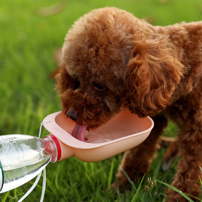 Pet Water Bottle Dispenser Squeeze-Controlled Food-Grade Plastic Travel-Friendly