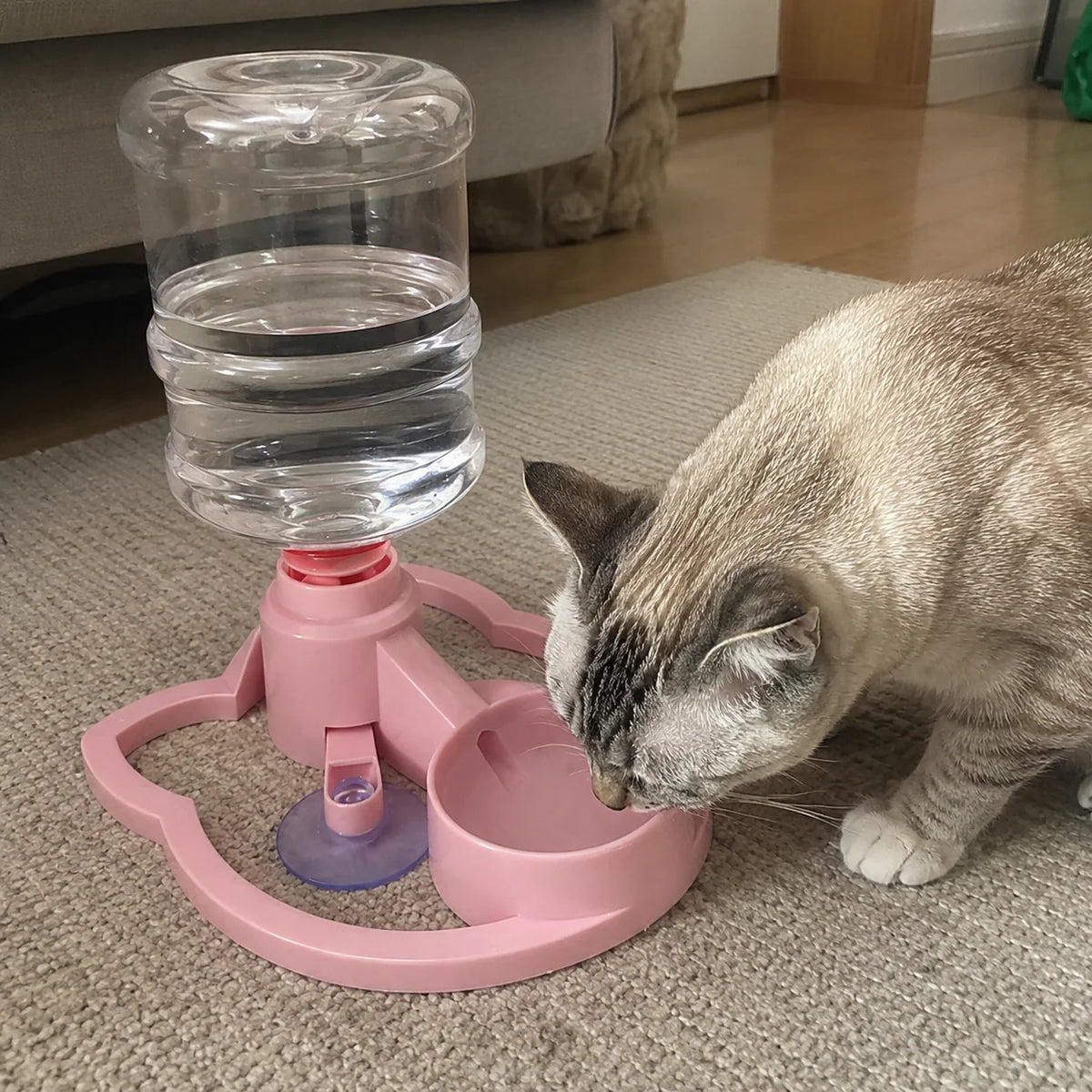 Pet Water Bowl Automatic Gravity Refill Compact & Easy-Clean