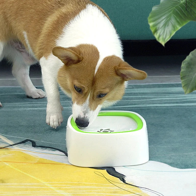 Pet Water Bowl No-Spill Floating Plate Slow-Flow Design