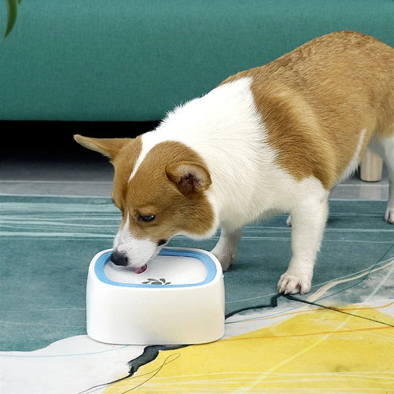 Pet Water Bowl No-Spill Floating Plate Slow-Flow Design