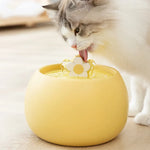 Pet Water Fountain Ceramic Continuous Circulation & Filtration
