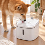Pet Water Fountain Continuous Circulation Built-In Filtration 0.53 Gallon