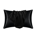 Pillowcase Mulberry Silk 22 Momme Zippered Breathable Surface