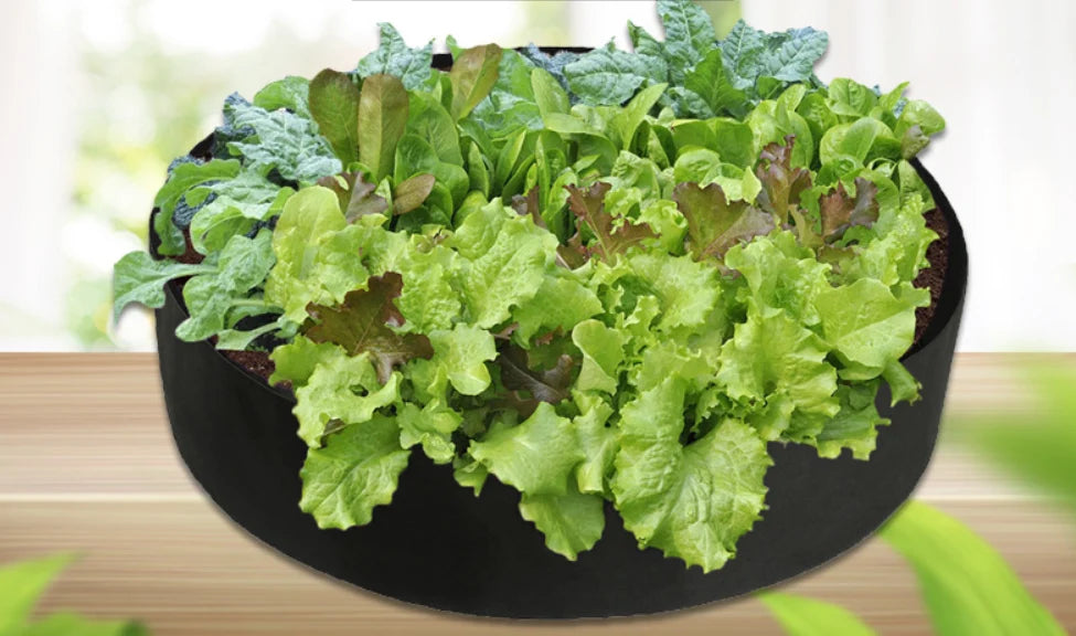 Plant Growth Bag Round Breathable Aeration & Drainage