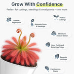 Plant Pots Self-Watering Moisture Control Indoor & Outdoor