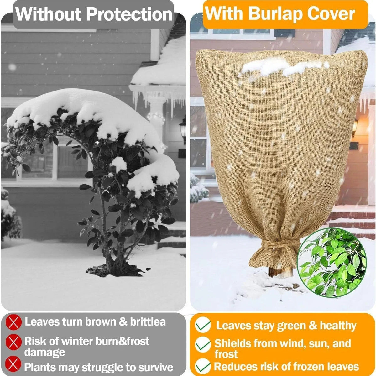 Plant Protector Cover Breathable Frost & Pest Protection