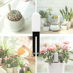 Plant Sensor 4-in-1 Bluetooth App & Color LED
