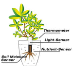 Plant Sensor 4-in-1 Bluetooth App & Color LED