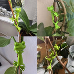 Plant Support Stake Frog Design Compact Plastic