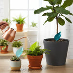 Plant Watering Funnel Leaf-Shaped Direct-to-Root Design