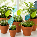 Plant Watering Funnel Leaf-Shaped Direct-to-Root Design