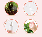 Plant Watering Globes Glass Self-Watering Drip Irrigation