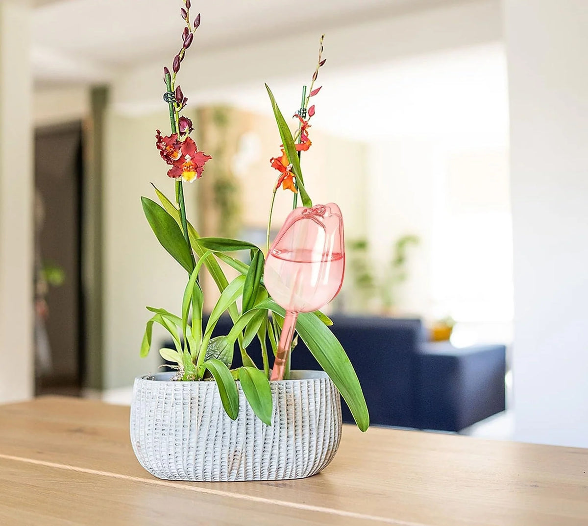 Plant Watering Globes Glass Self-Watering Drip Irrigation