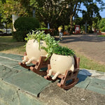 Planter Pot Smiley Face Hanging Swing & Rocking Chair Styles
