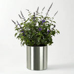 Planter Stainless Steel Weather-Resistant 31-Inch Diameter