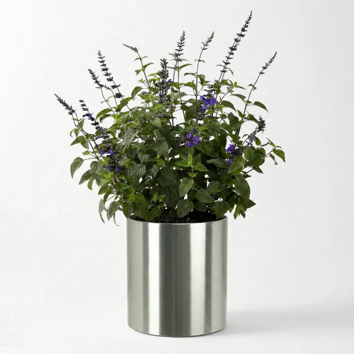 Planter Stainless Steel Weather-Resistant 31-Inch Diameter