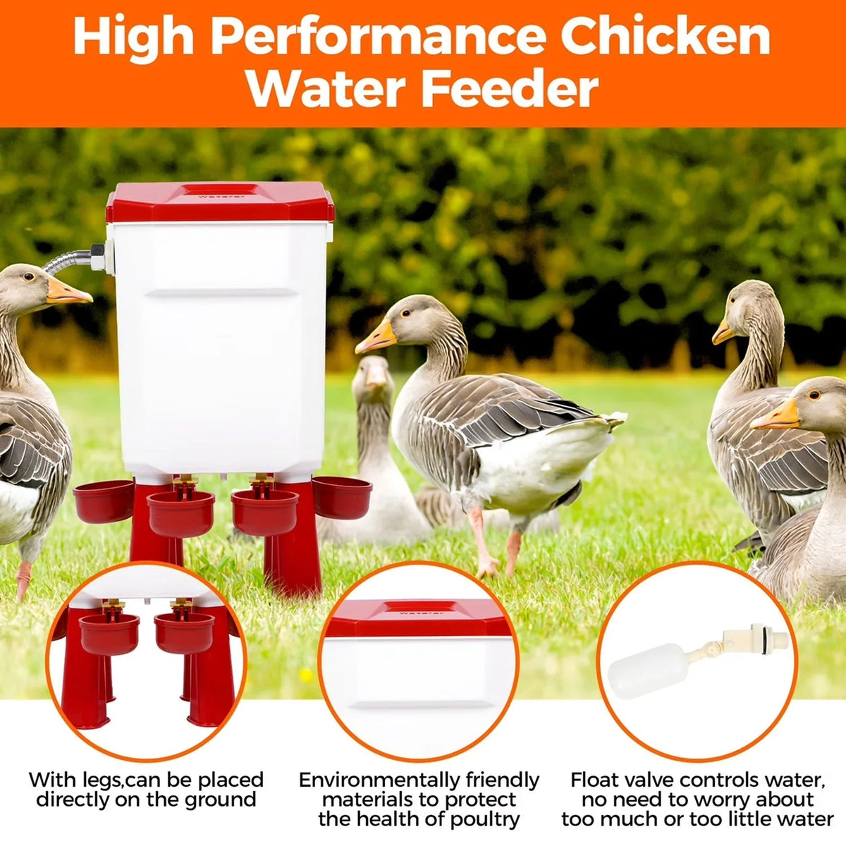 Poultry Waterer Automatic Float Valve Four Bowls