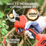 Pruning Shears Cordless Brushless Motor SK5 Blades