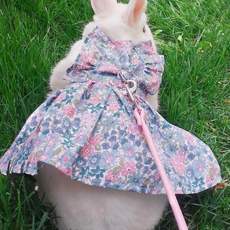 Rabbit Dress Breathable Polyester Adjustable Neck With Leash