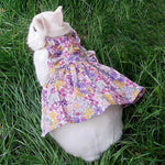 Rabbit Dress Breathable Polyester Adjustable Neck With Leash