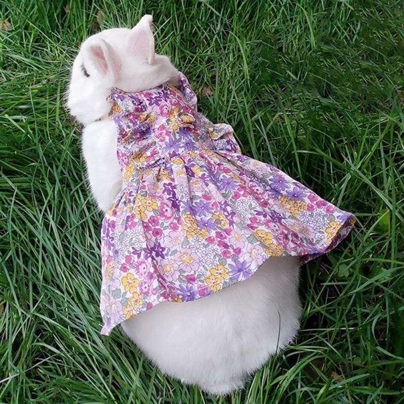 Rabbit Dress Breathable Polyester Adjustable Neck With Leash