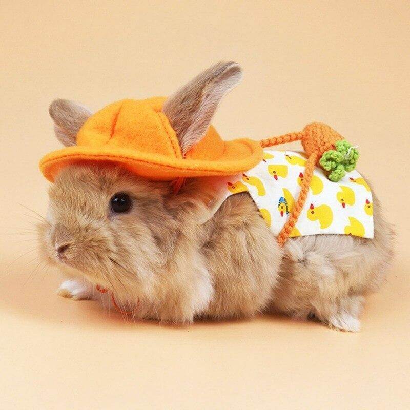 Rabbit Dress Breathable Polyester Adjustable Neck With Leash