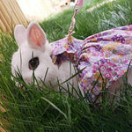 Rabbit Dress Breathable Polyester Adjustable Neck With Leash